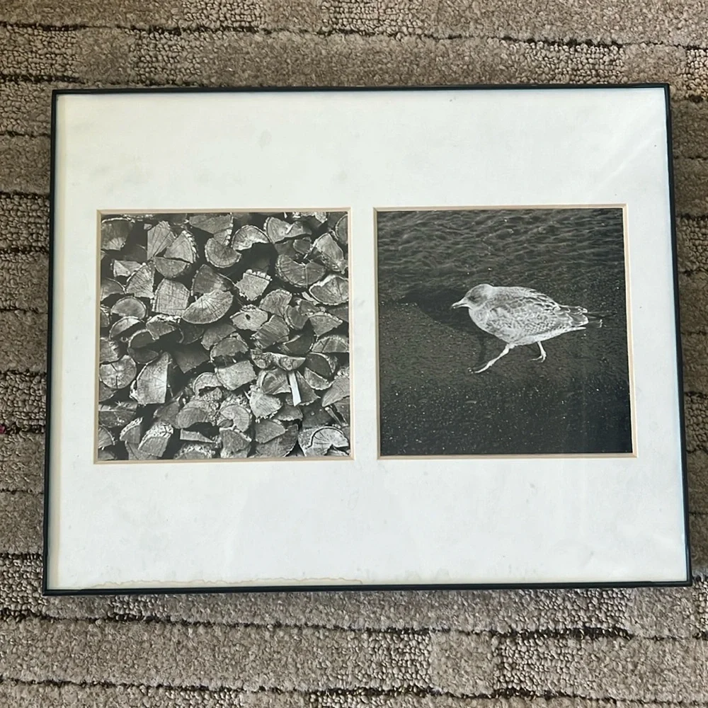 Black and white modern picture frame